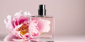 Parfums femme boisés